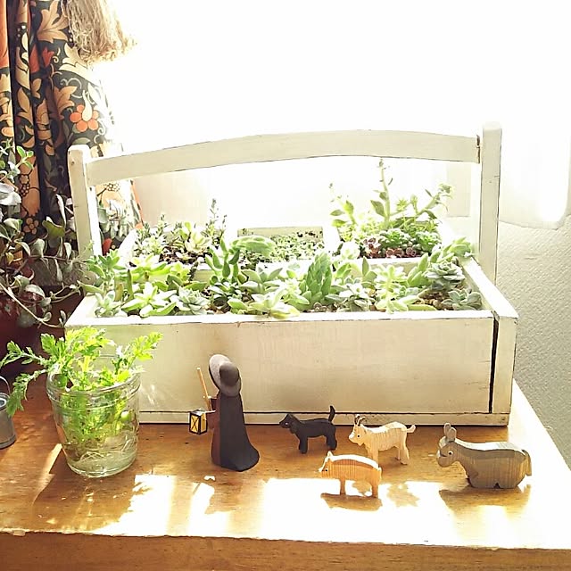 donguri_kolo_koloさんの実例写真