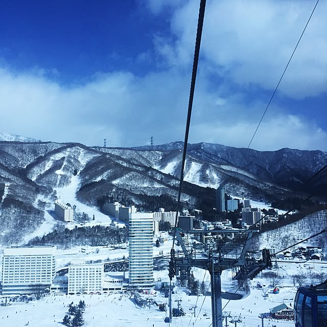 実例写真