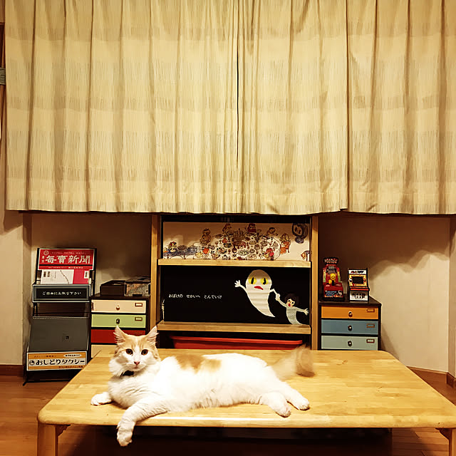 猫のいる日常/レトロ/てぬぐい/せなけいこ/加古里子...などのインテリア実例 - 2020-09-12 01:39:22