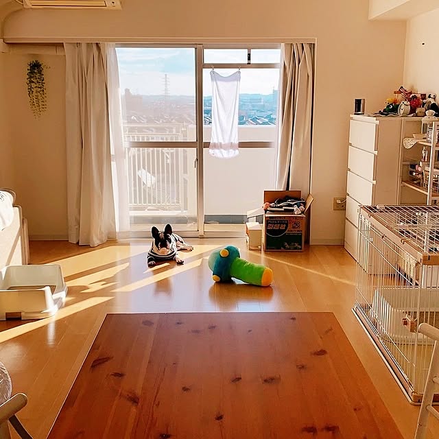 実例写真