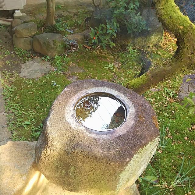 洗面台/中庭/バス/トイレのインテリア実例 - 2023-03-05 12:17:14