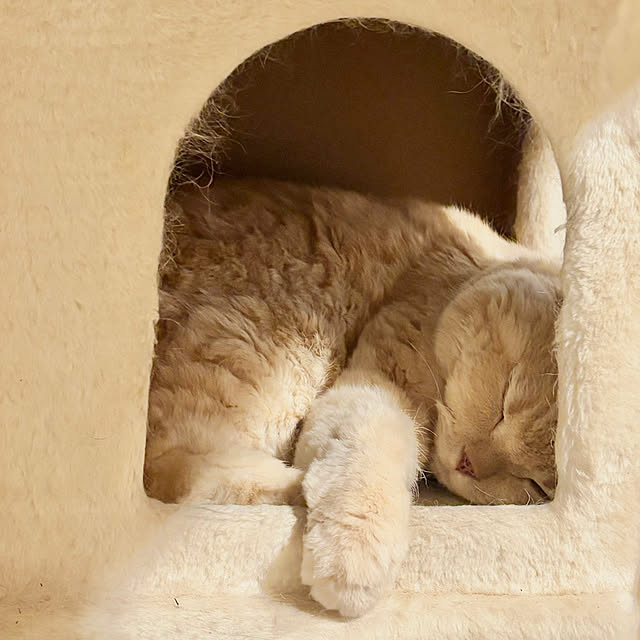 naokoさんの部屋