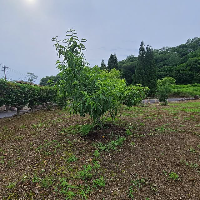 Rubiconさんの部屋