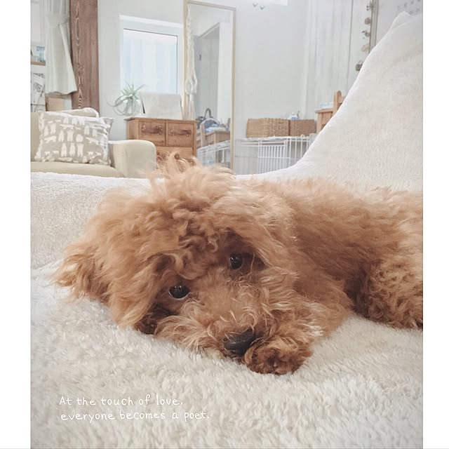 tomoさんの実例写真