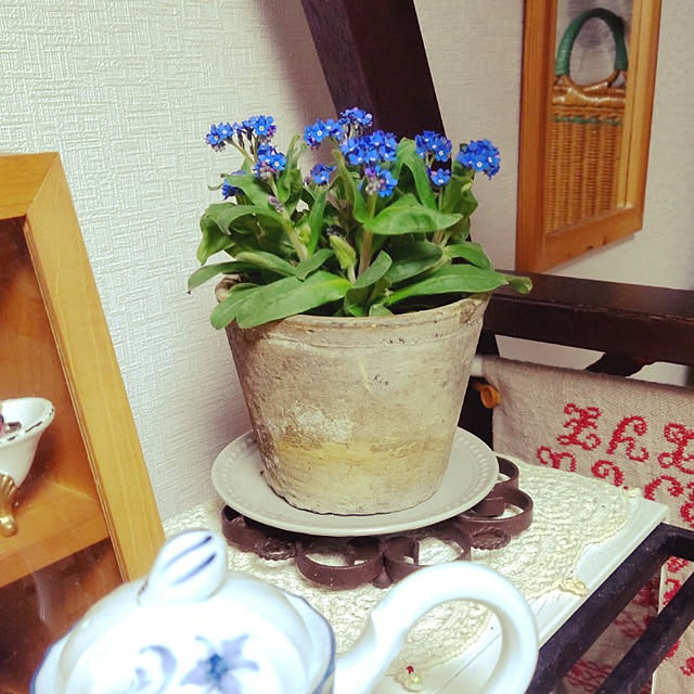 Tokeisouさんの実例写真