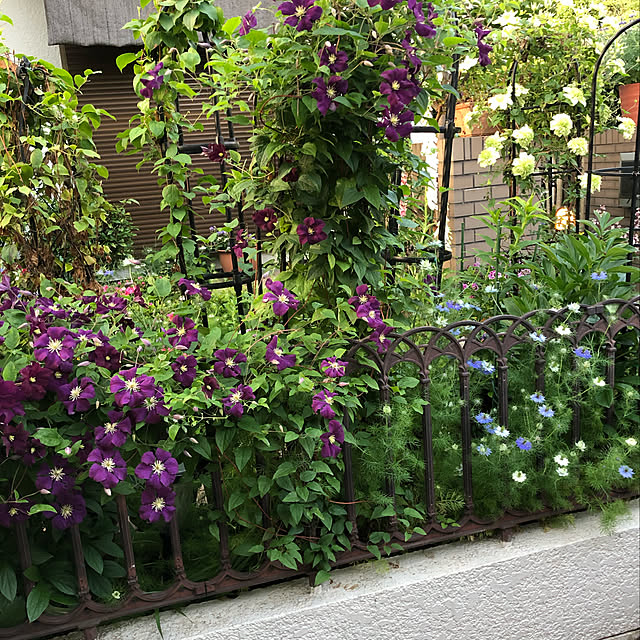mamizaさんの実例写真