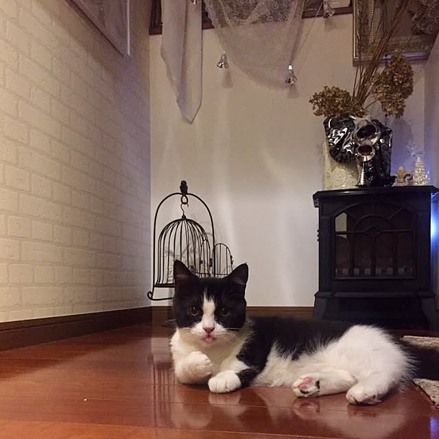butachanさんの実例写真