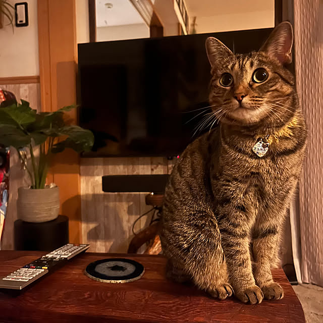 Mさんの部屋