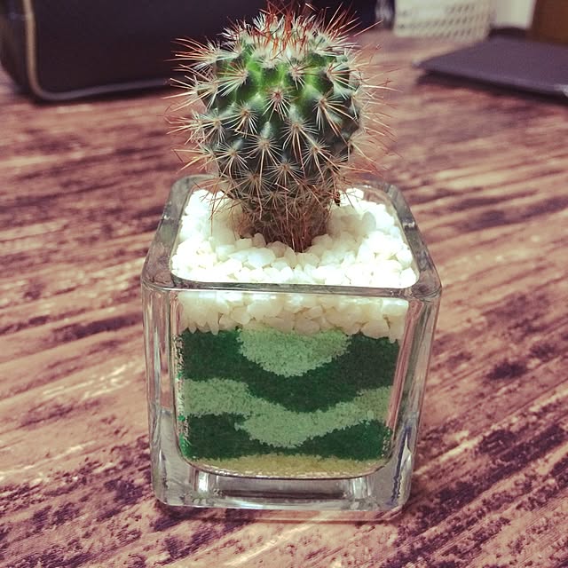 haruさんの実例写真