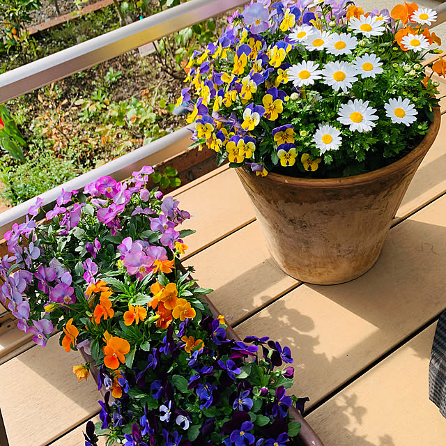 Tomokoさんの部屋