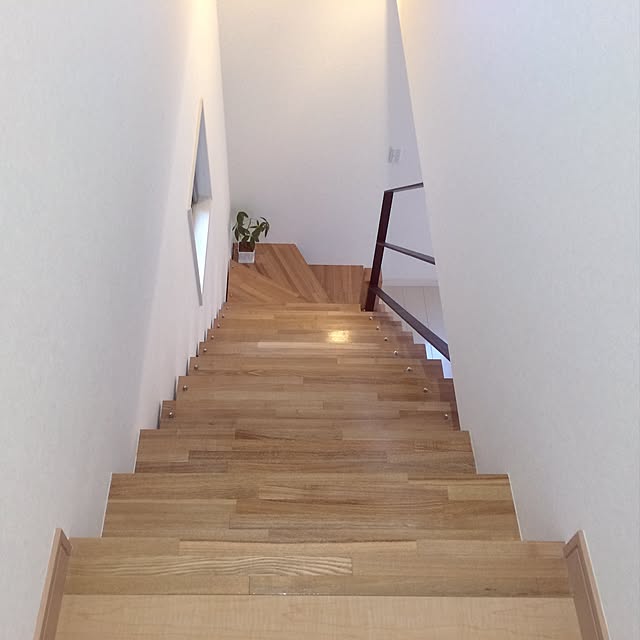 壁/天井/100均/観葉植物のインテリア実例 - 2015-12-17 16:30:29