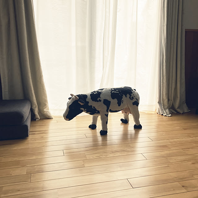 Rさんの実例写真