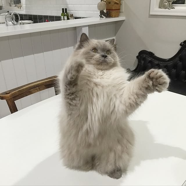 yuchiさんの実例写真