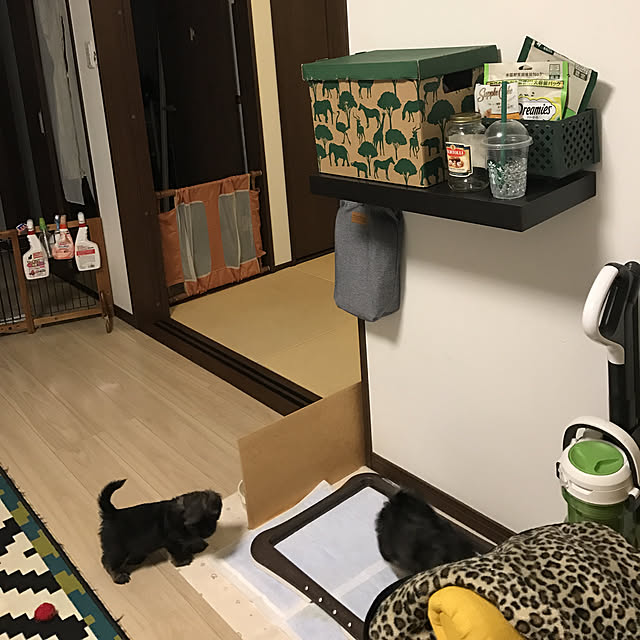 Nobukoさんの実例写真