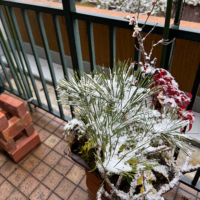 Aqettyさんの部屋