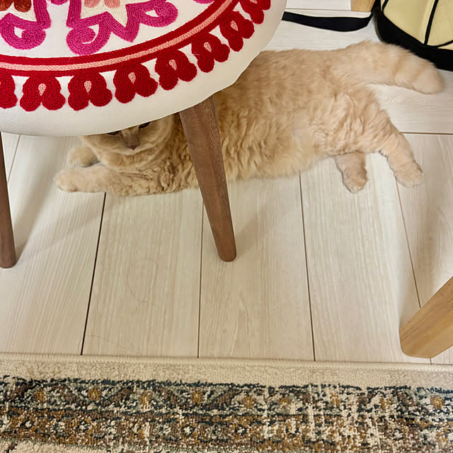 naokoさんの実例写真