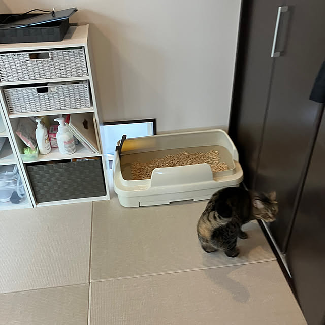 saeさんの部屋