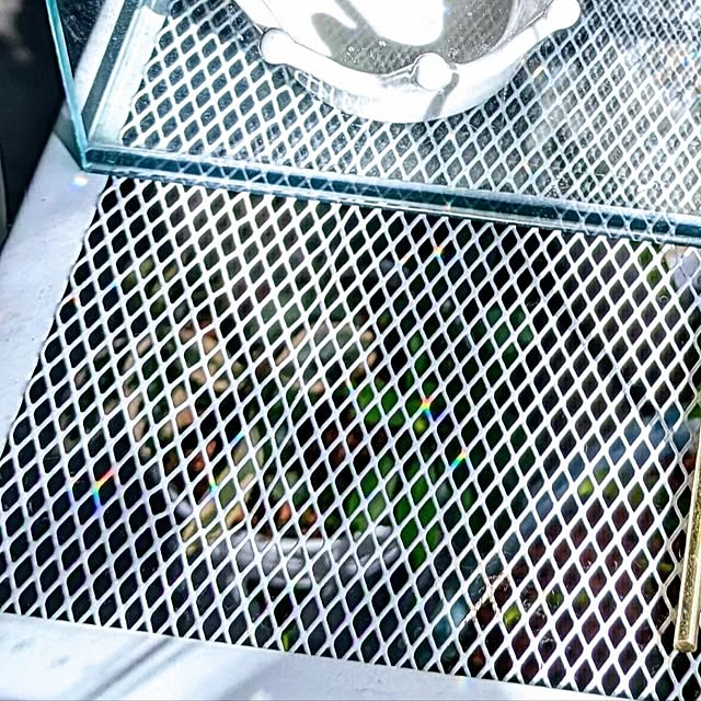 mi-saさんの部屋