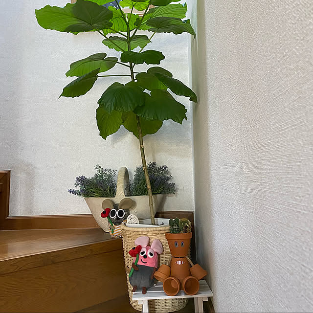 chIoeさんの実例写真