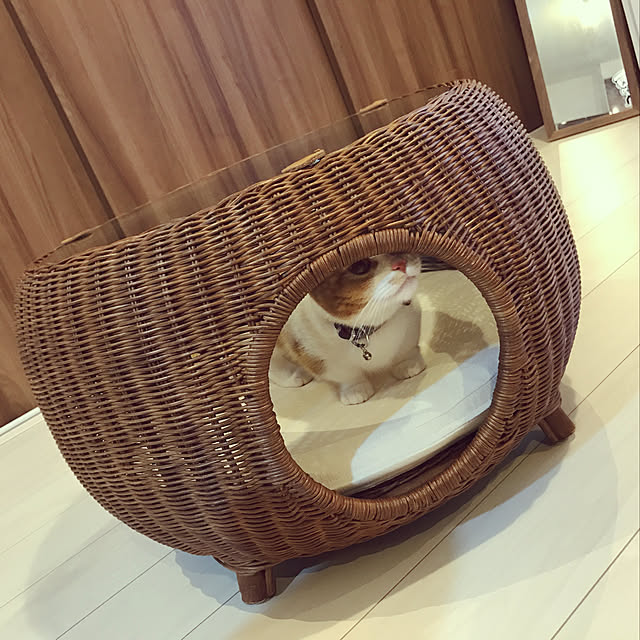 KotarouKunさんの実例写真