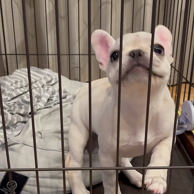 yaさんの部屋