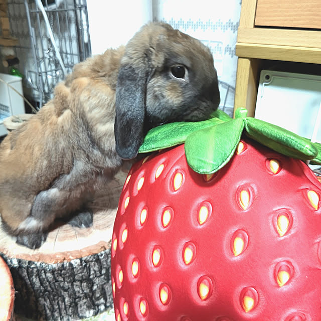 mariaさんの実例写真