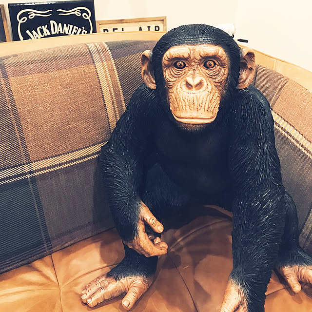 hotaruさんの実例写真