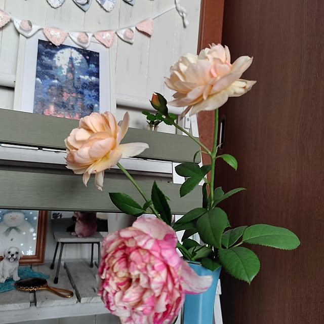 kiraさんの部屋