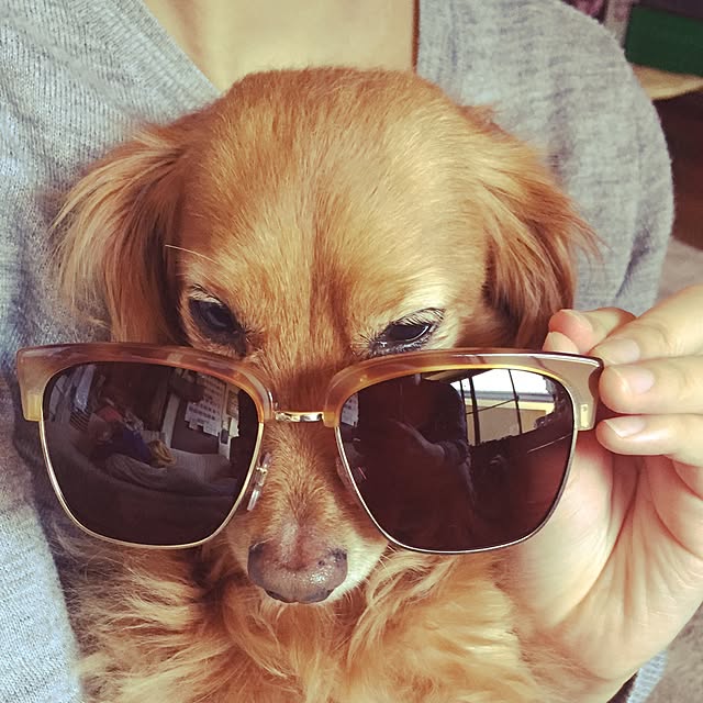 sakuさんの実例写真