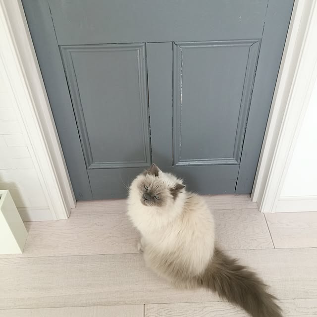 yuchiさんの実例写真