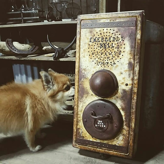 reksさんの実例写真
