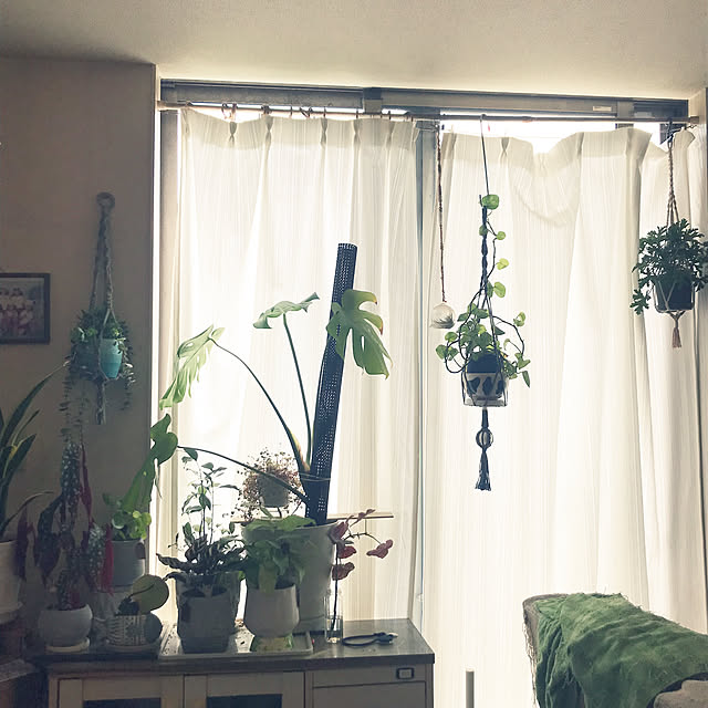 kou-kitiさんの部屋