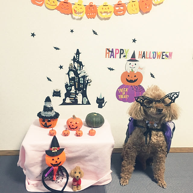 ash1024さんの実例写真