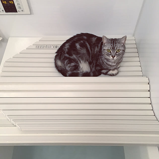 mikomaruさんの実例写真