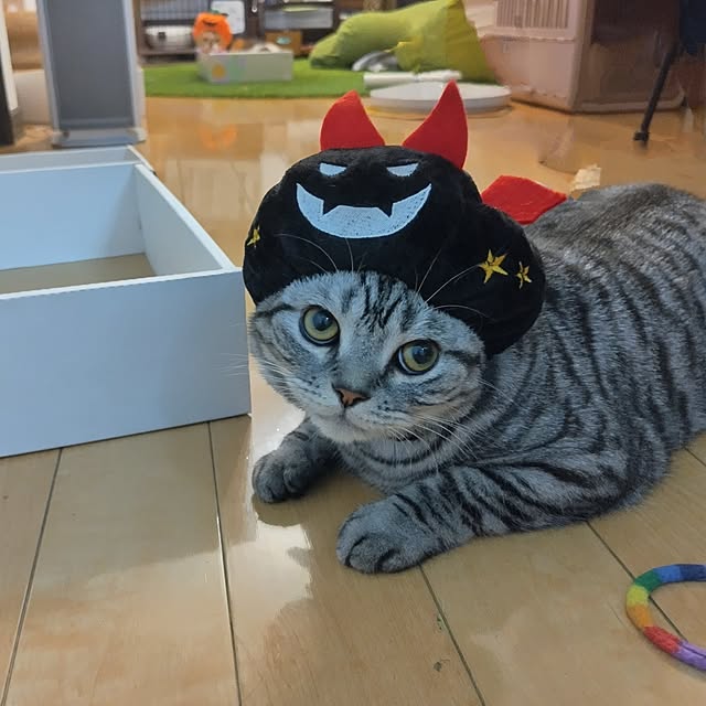 hiro3さんの部屋