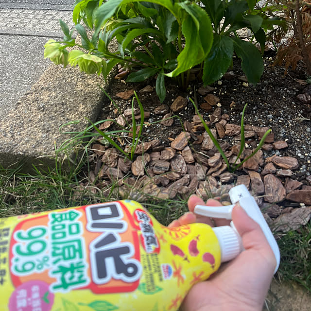 pekoさんの実例写真