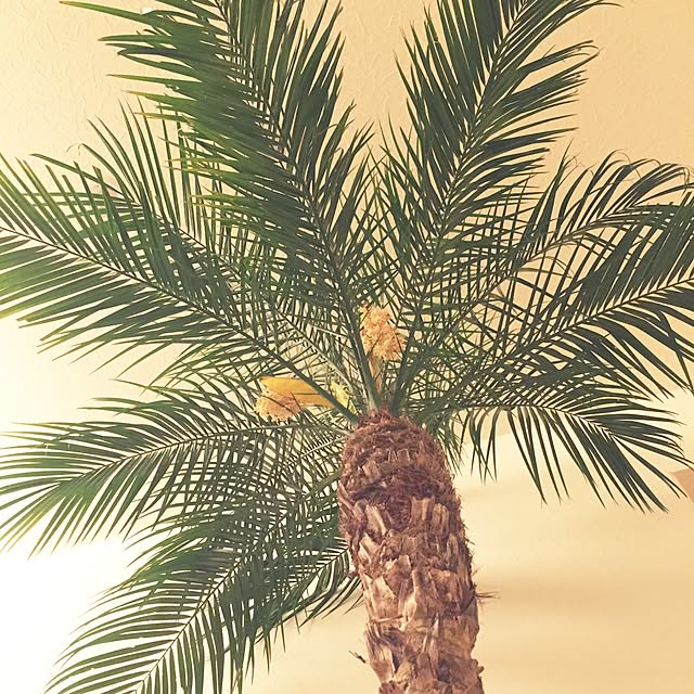 sunny_smileさんの実例写真