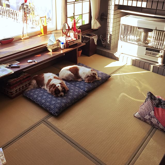 kari-kari-umeさんの実例写真