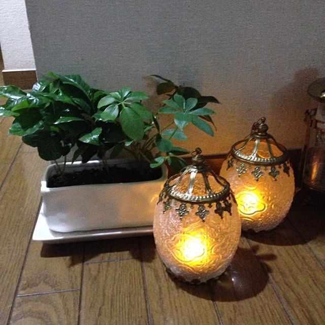 kiyomiさんの実例写真