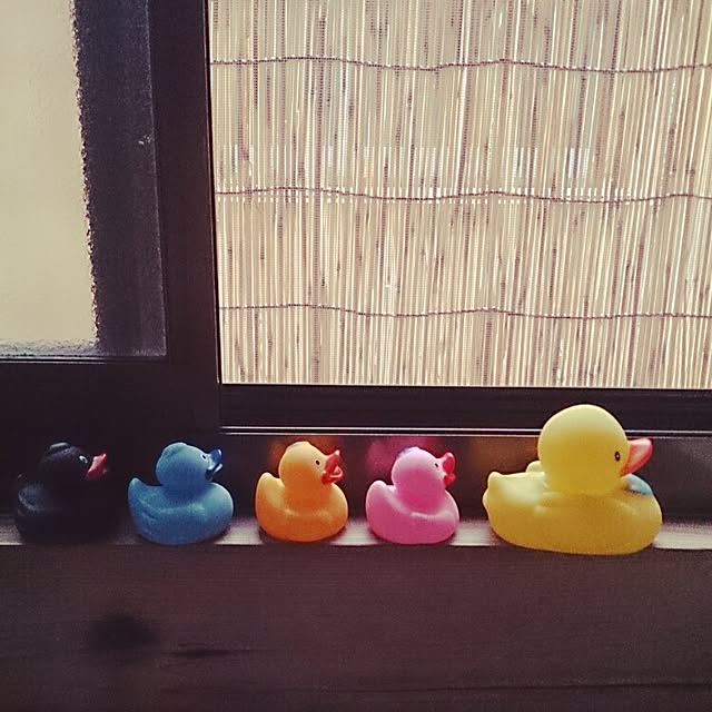 negiさんの実例写真