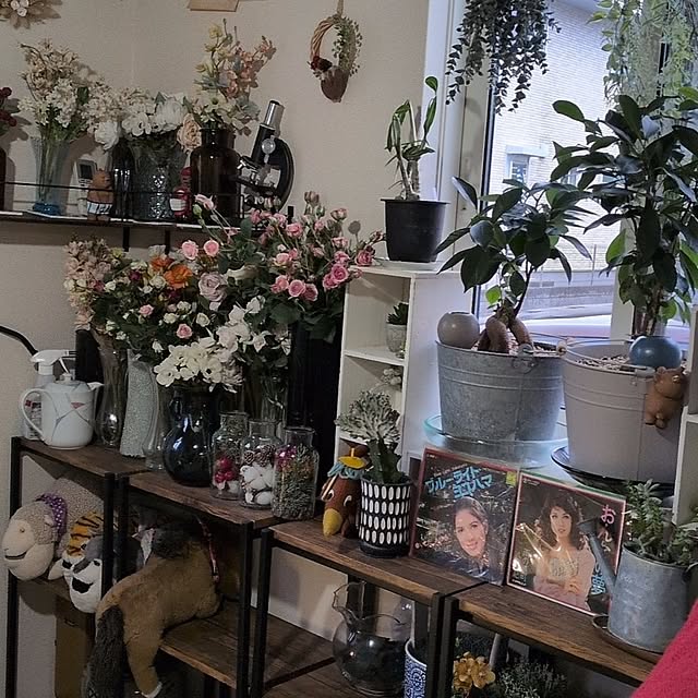 umeboshicyanさんの部屋