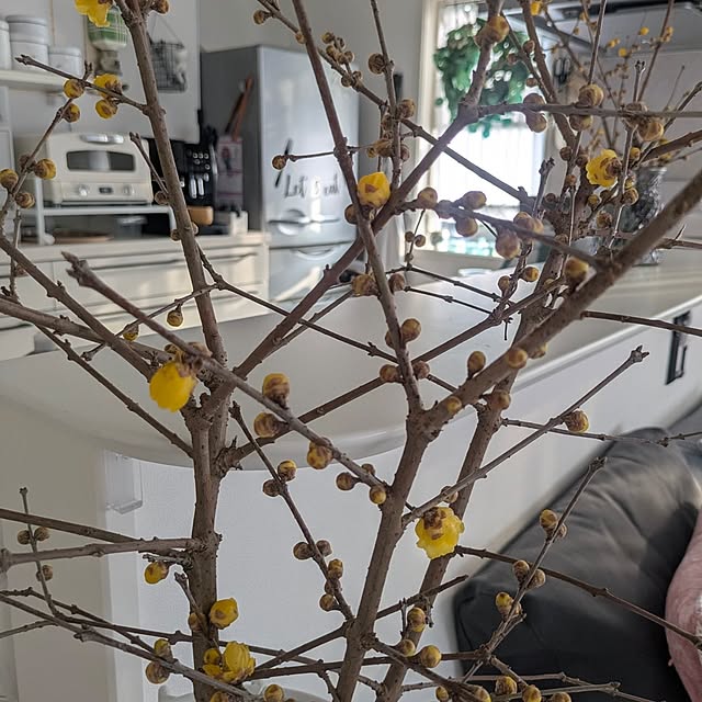 fumitanさんの部屋