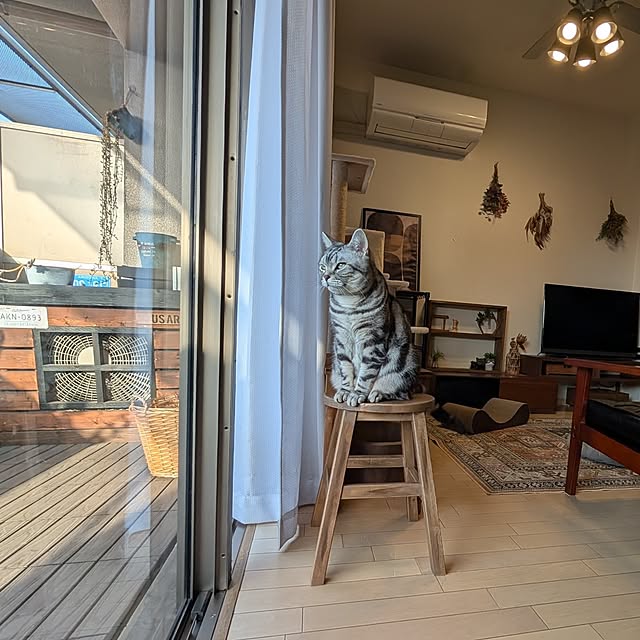 lovepeaceさんの部屋