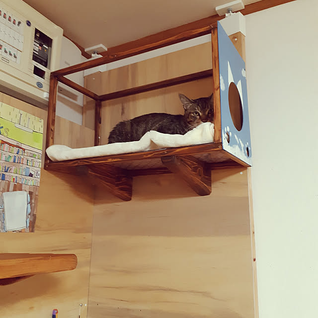 kazumiさんの実例写真