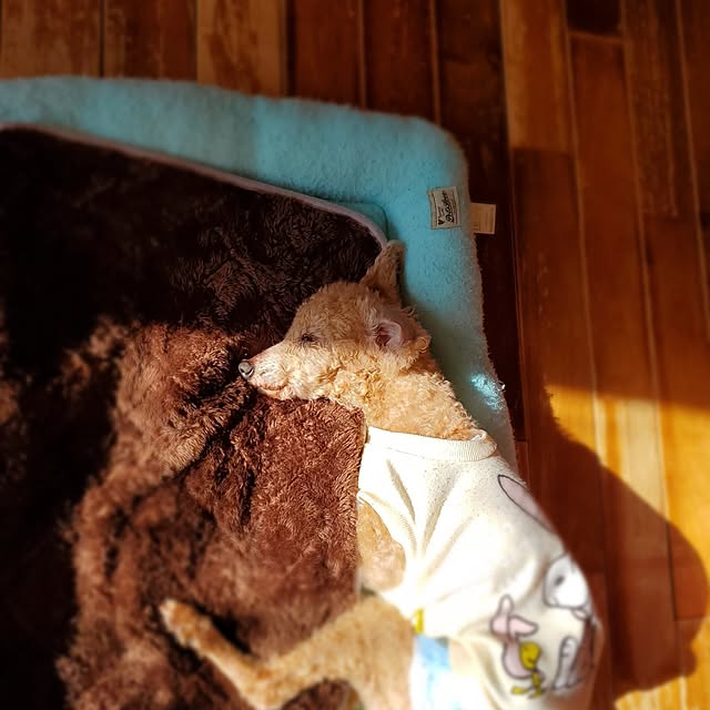 kumutanさんの部屋