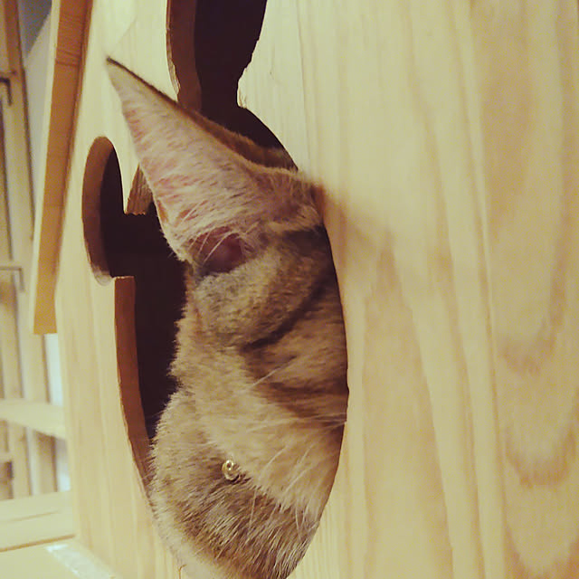 mamekoさんの実例写真