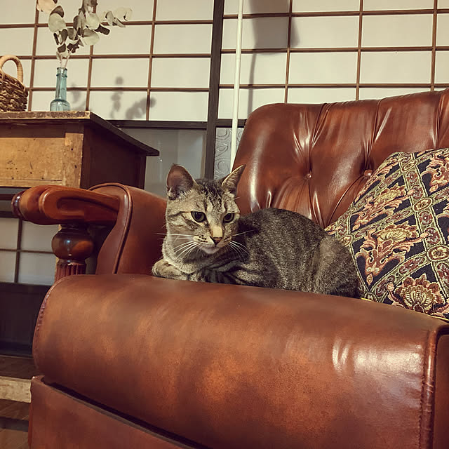 miminyoshiminさんの実例写真