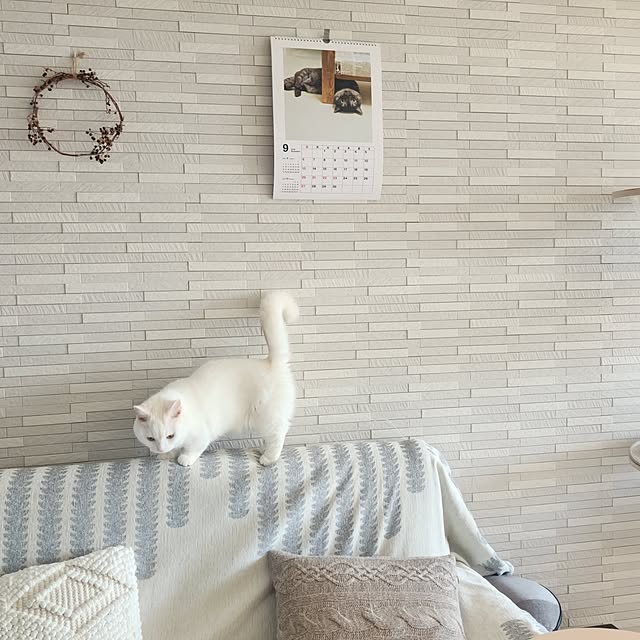 tomatoさんの実例写真