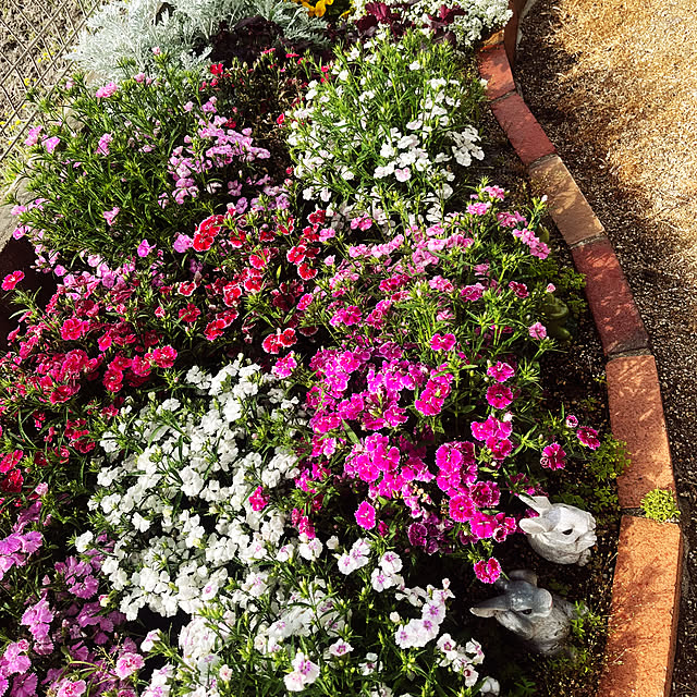 mimiさんの実例写真