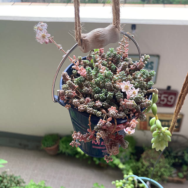 heidiさんの部屋